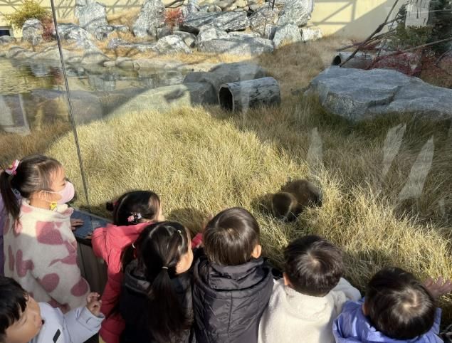 충주아쿠아리움, 수달 공개 시작!