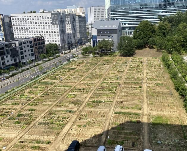 경기도 구리시 갈매동 552-9번지 일원에 위치한 「갈매동 도시농부 체험텃밭」 전경