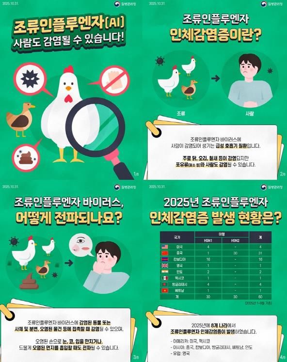 파주시, 조류인플루엔자 감염 예방을 위한 주의 당부