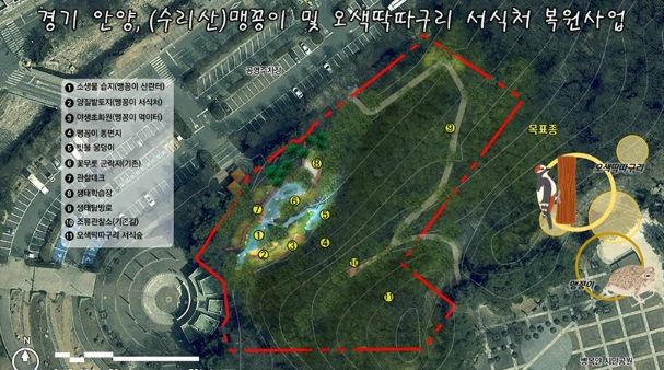 안양시, 병목안시민공원 맹꽁이・오색딱따구리 서식처 복원…국비 4.4억 확보