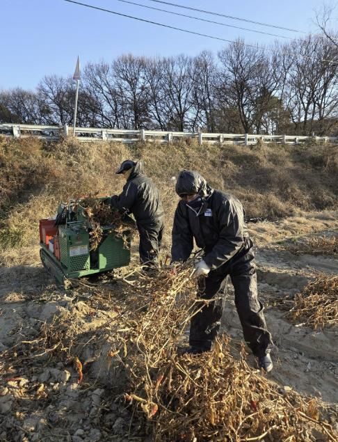 음성군, 영농부산물 안전처리 지원사업 파쇄 신청·접수