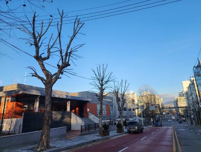 가로숲길 조성사업