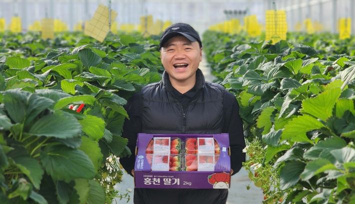 청년농업인 고당도 딸기 본격 출하
