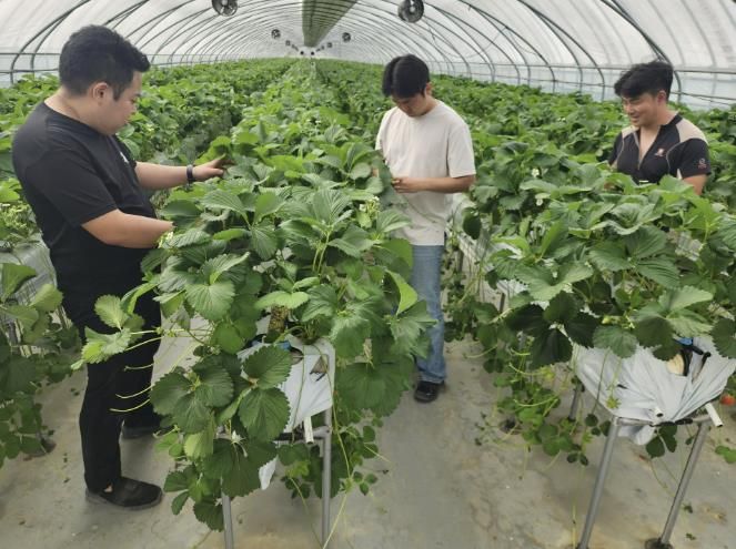 2025년 신규농업인 현장실습교육 현장