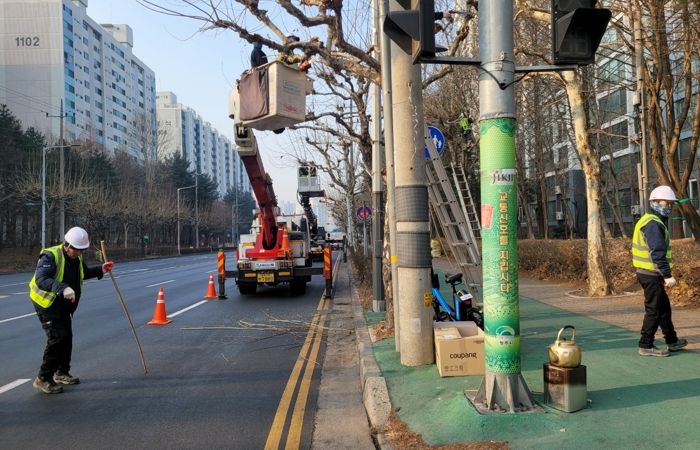 “보행·교통 안전 강화” 청주시, 도로변 가로수 정비 추진