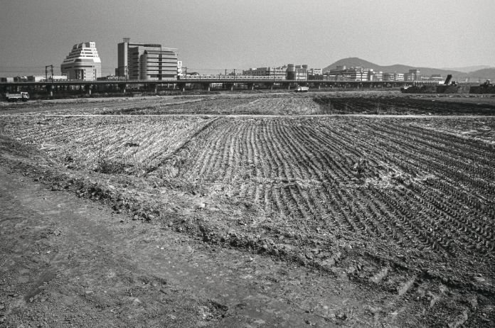 1995년도 고잔뜰 전경, 현재는 고잔신도시가 조성되어 아파트 단지로 변모했다.