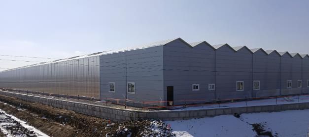 조성 현장 전경